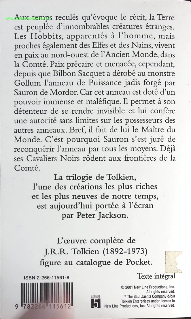 Someone Good - Françoise Bourdin - book