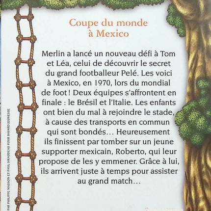 The Magic Treehouse Volume 4 - Pirate Treasure - Mary Pope Osborne - book