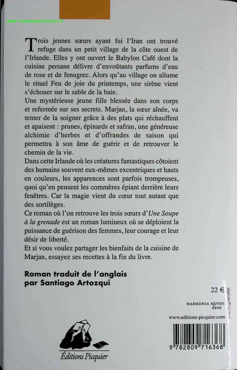 The Douai Notebooks - Arthur Rimbaud - 2023 - book