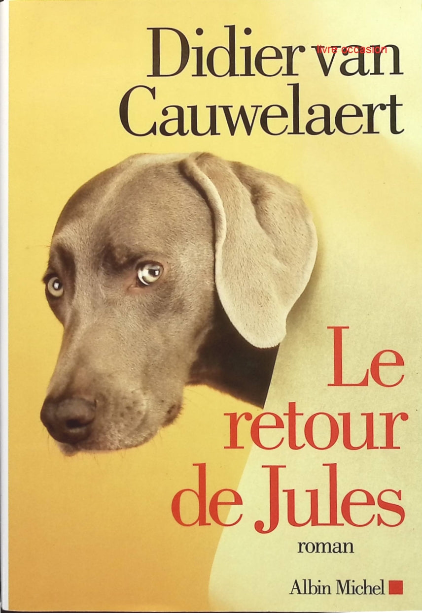 Le retour de Jules - Didier Van Cauwelaert - livre