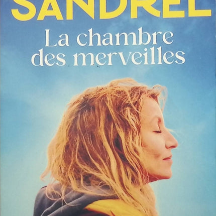 Die Wunderkammer - Julien Sandrel - 2020 - Buch