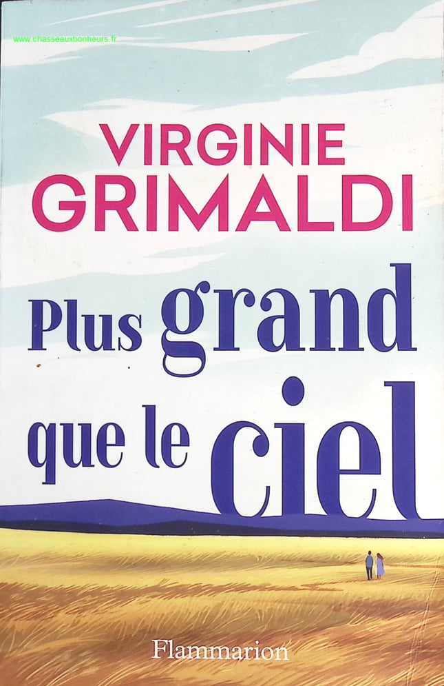 Plus grand que le ciel - Virginie Grimaldi - livre