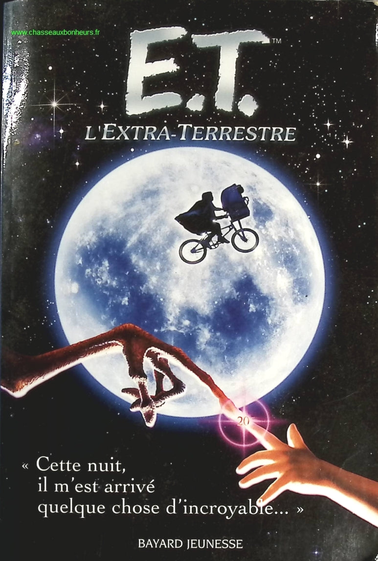 Someone Good - Françoise Bourdin - book