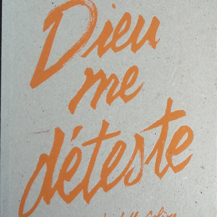 Dieu me déteste - Hollis Seamon - livre