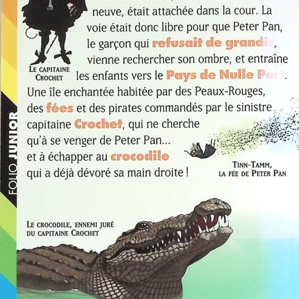 Peter Pan - James Matthew Barrie - livre