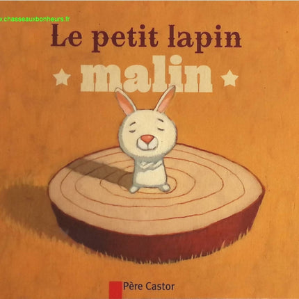 Le petit lapin malin - Vanessa Gautier, Robert Giraud - livre