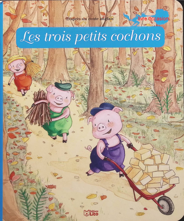 Someone Good - Françoise Bourdin - book