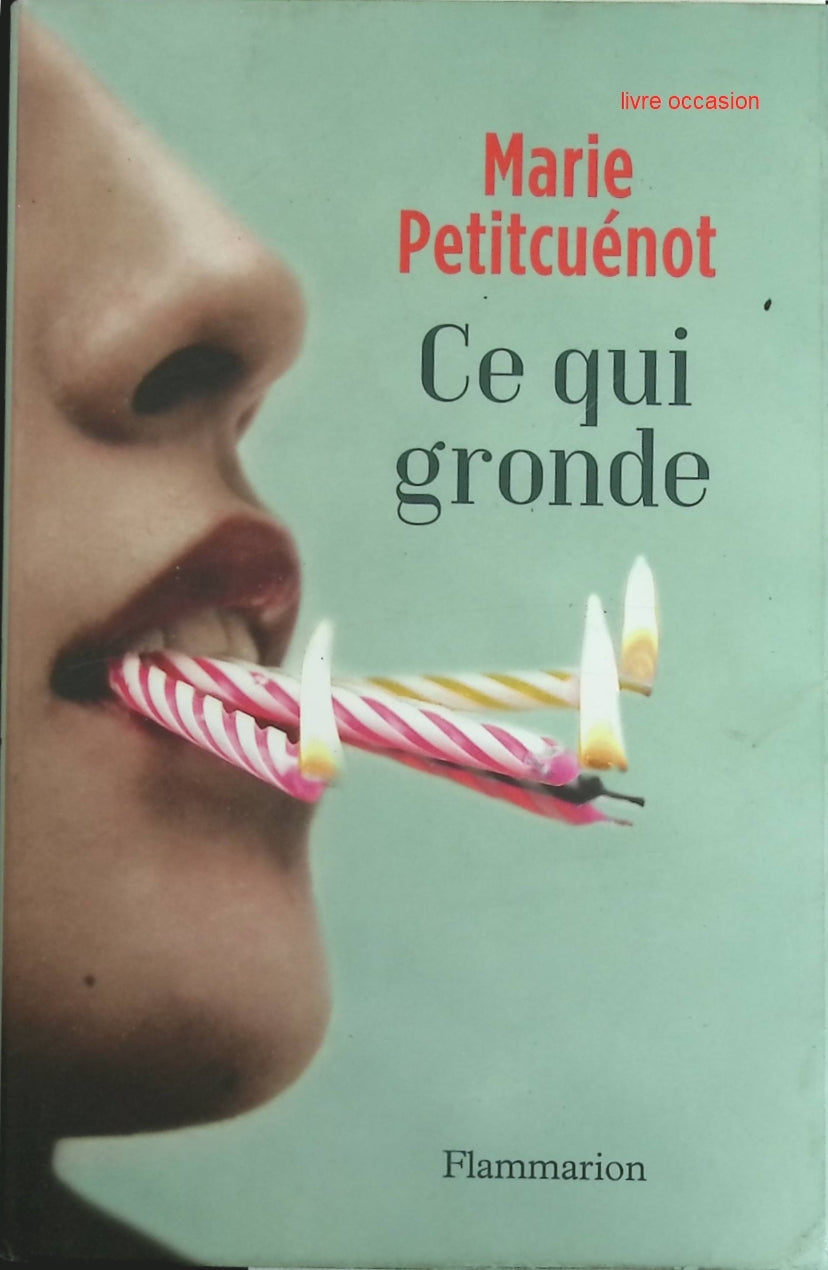 Ce qui gronde - Marie Petitcuénot - Livre