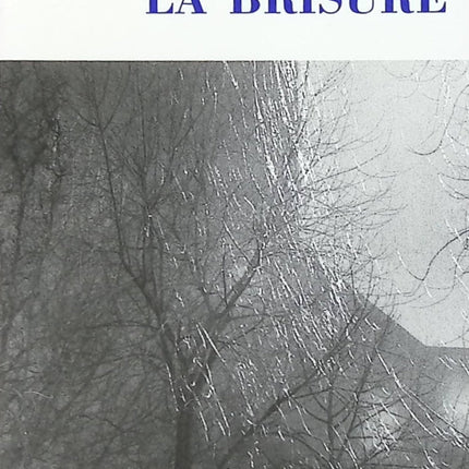 La brisure - Hélène Lenoir - Livre
