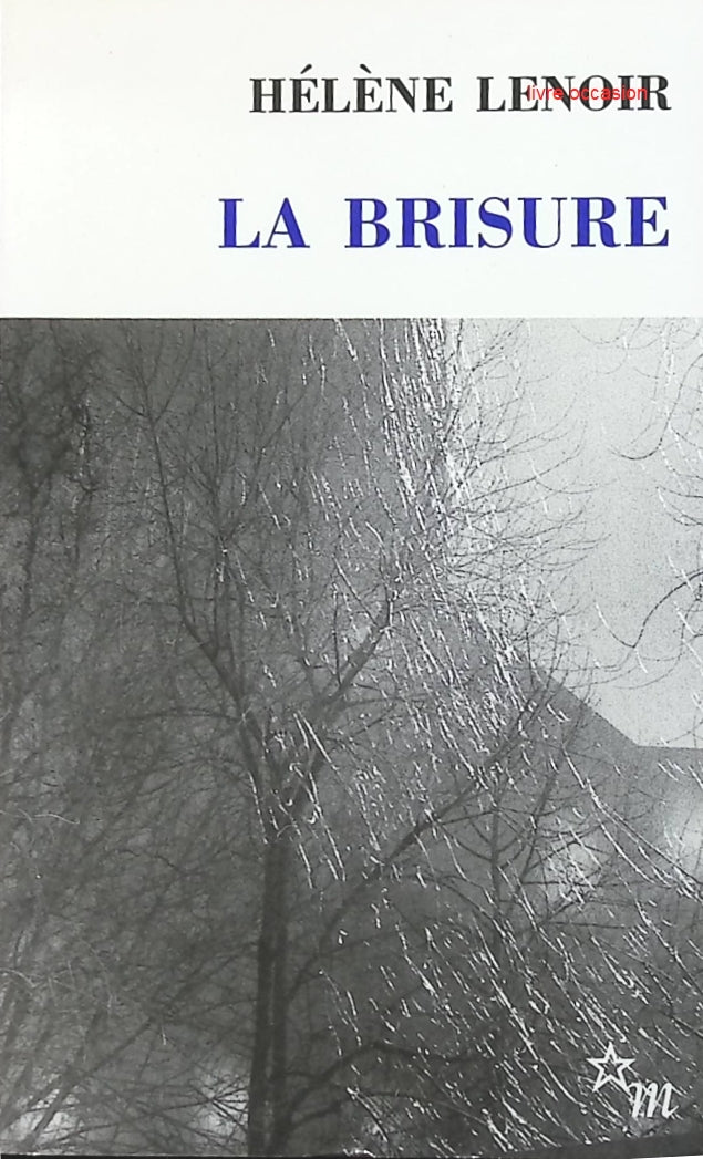 La brisure - Hélène Lenoir - Livre