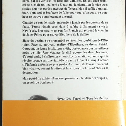 La splendeur des orages - Belva Plain - Livre