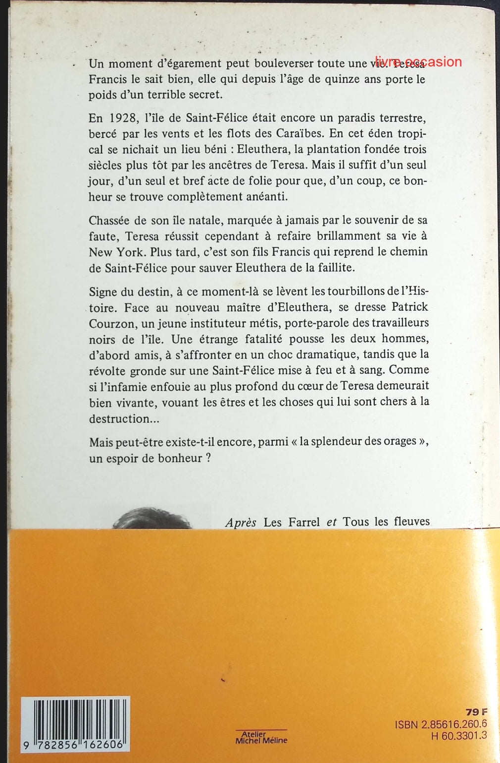 La splendeur des orages - Belva Plain - Livre