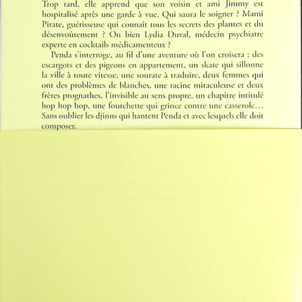 Djinns - Seynabou Sonko - Livre