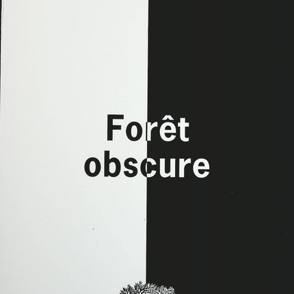 Forêt obscure - Nicole Krauss - Livre