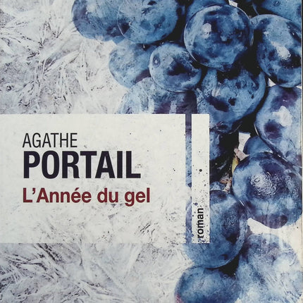 L'année du gel - Agathe Portail - Livre