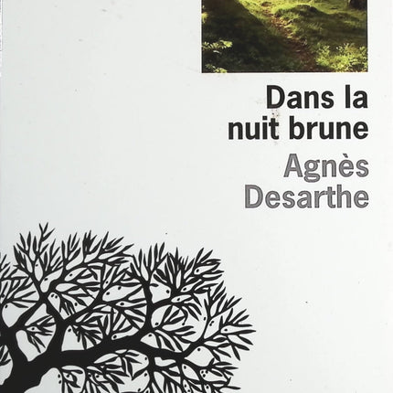 Dans la nuit brune - Agnès Desarthe - Livre