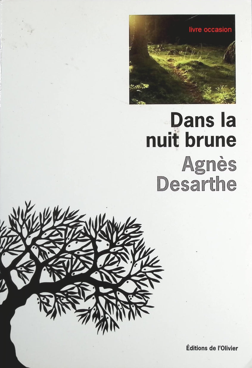 Dans la nuit brune - Agnès Desarthe - Livre