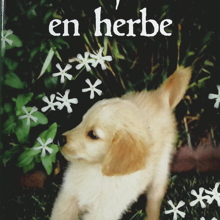 La joie en herbe - Claude Vincent - Livre