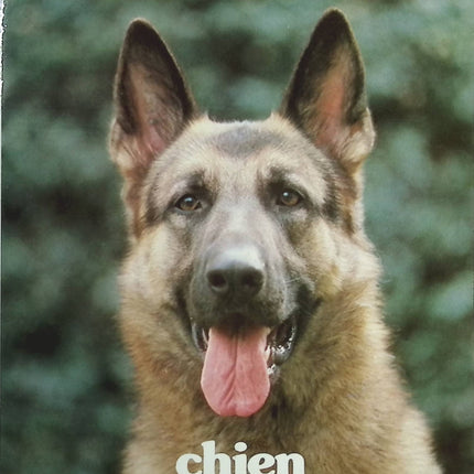 Mabrouk, chien d'une vie - Jean-Pierre Hutin - Livre