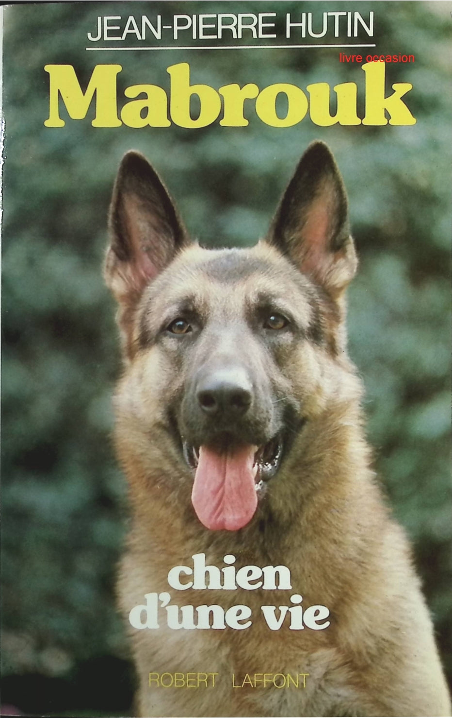 Mabrouk, chien d'une vie - Jean-Pierre Hutin - Livre