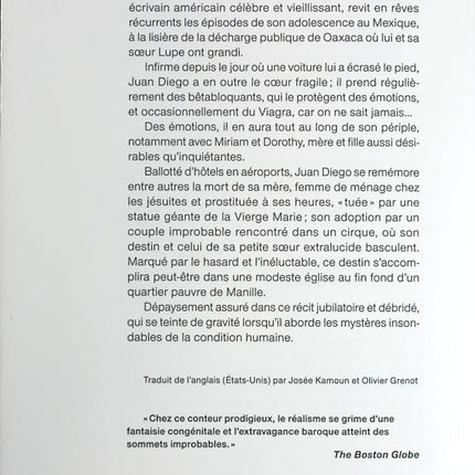 Avenue des mystères - Roman contemporain, fresque familiale et quête d’identité de John Irving - Livre