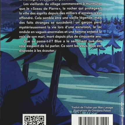 Les Vous - Davide Morosinotto - Livre