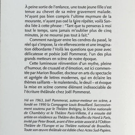 Cendrillon - Joël Pommerat - livre
