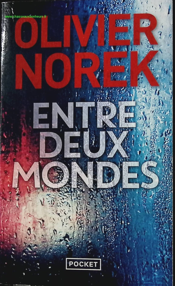 Someone Good - Françoise Bourdin - book