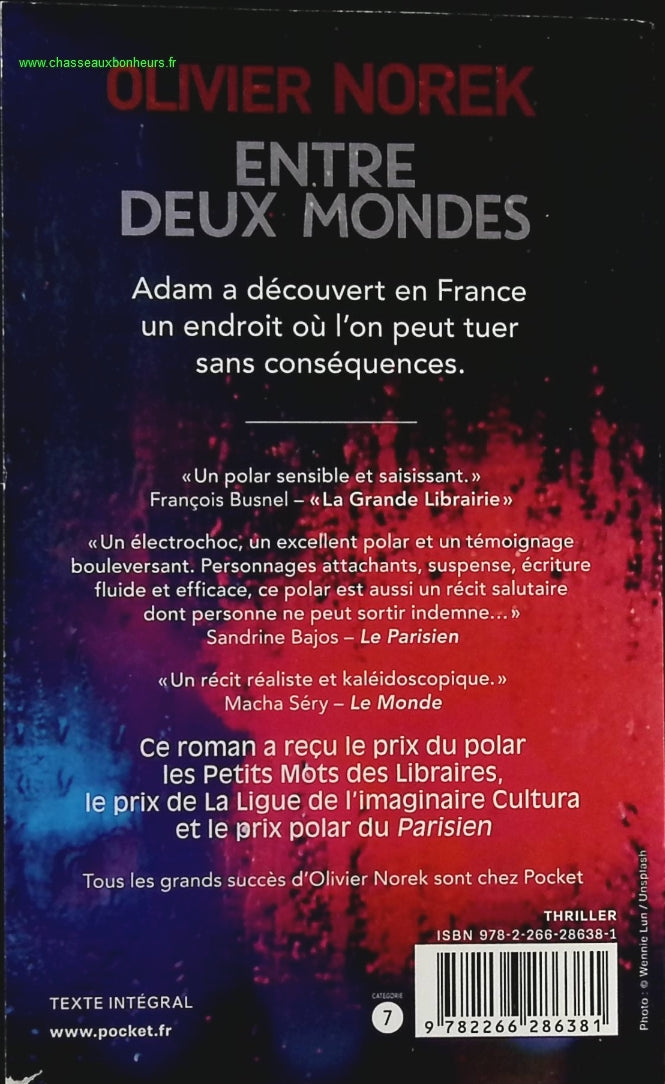 Someone Good - Françoise Bourdin - book