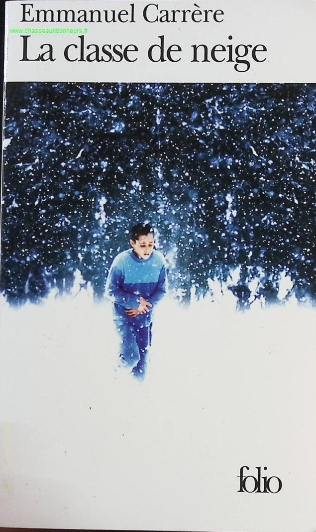 Someone Good - Françoise Bourdin - book