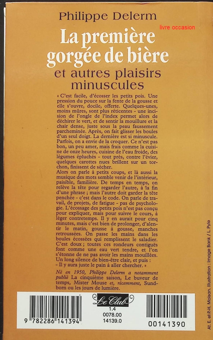 Someone Good - Françoise Bourdin - book