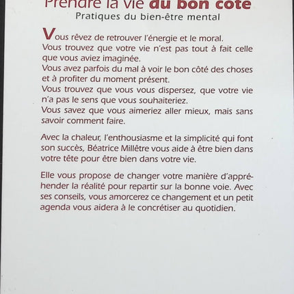 Prendre la vie du bon côté : Pratiques du bien-être mental - Béatrice Millêtre - livre