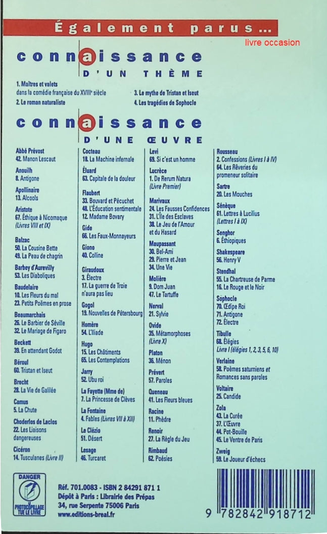 Someone Good - Françoise Bourdin - book