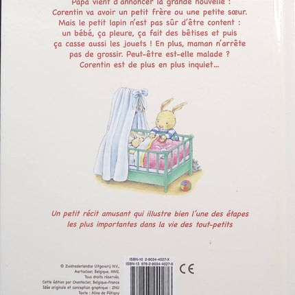 Das magische Baumhaus, Band 4 – Piratenschatz – Mary Pope Osborne – Buch