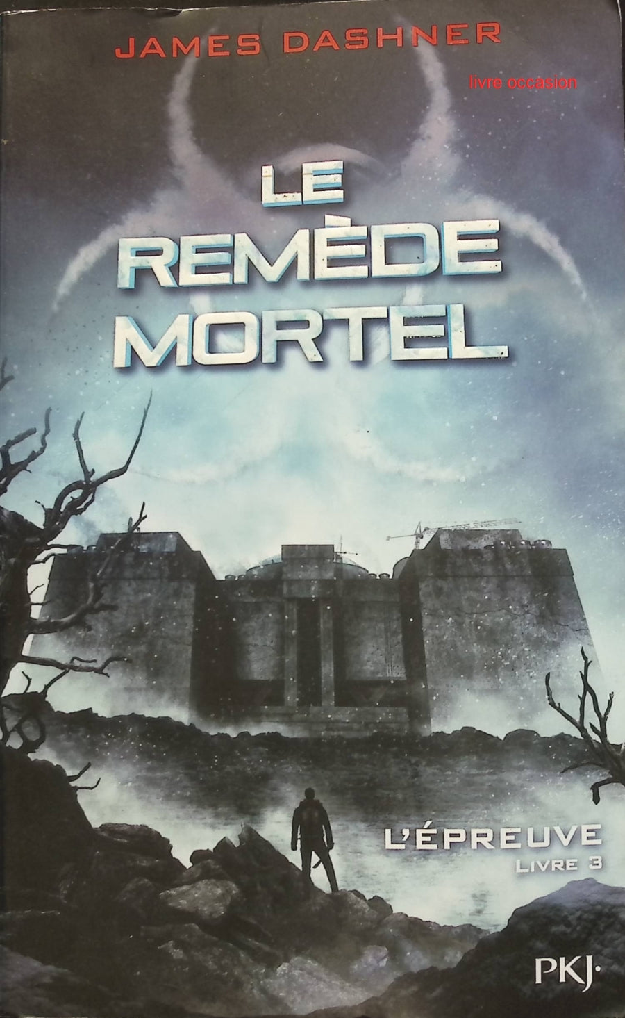 Someone Good - Françoise Bourdin - book