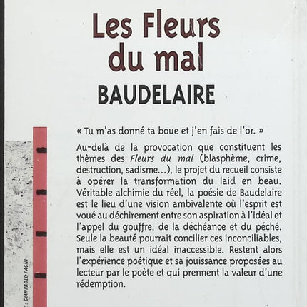 Jemand Gutes – Françoise Bourdin – Buch