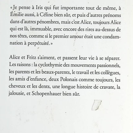 Nos Séparations - David Foenkinos - livre