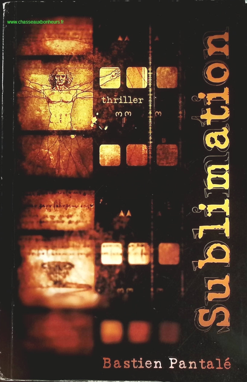 Someone Good - Françoise Bourdin - book