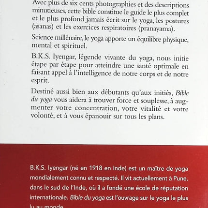 Die Douai-Notizbücher - Arthur Rimbaud - 2023 - Buch