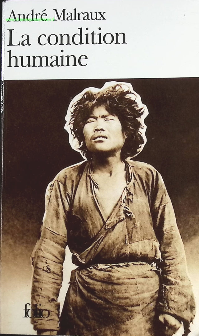 Temptation - Stephenie Meyer - Buch