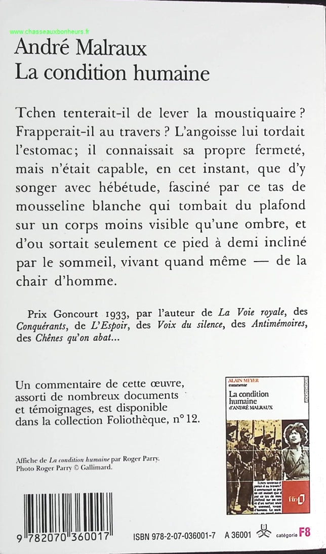 Temptation - Stephenie Meyer - Buch