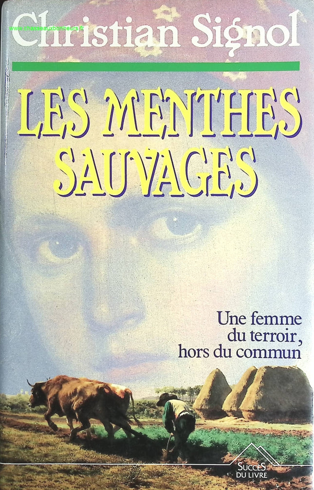 Die Douai-Notizbücher - Arthur Rimbaud - 2023 - Buch