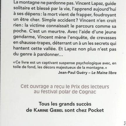 Bis dass der Tod uns scheidet - Karine Giebel - Buch