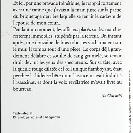 Nouvelles Histoires extraordinaires - Edgar Allan Poe - livre