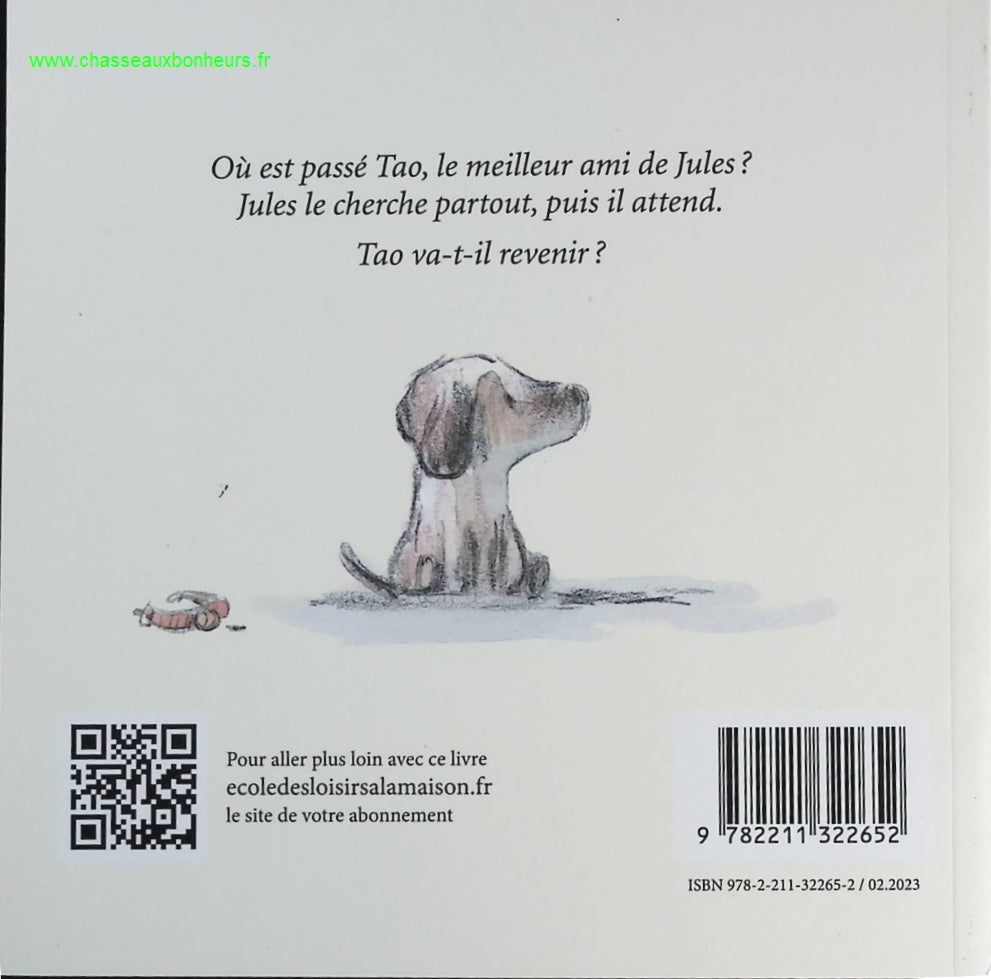 Someone Good - Françoise Bourdin - book