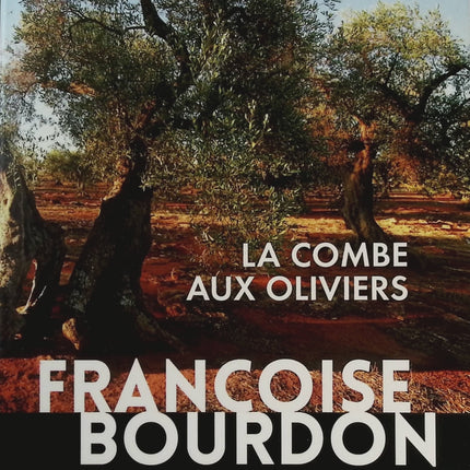 Someone Good - Françoise Bourdin - book