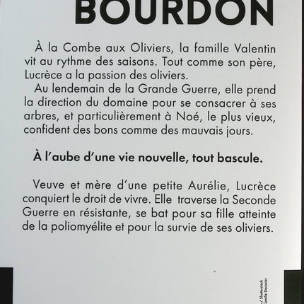 Someone Good - Françoise Bourdin - book