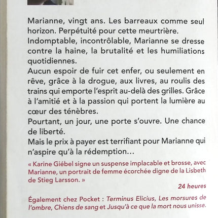 Roman thriller suspense policier Meurtres pour rédemption Karine Giebel - livre