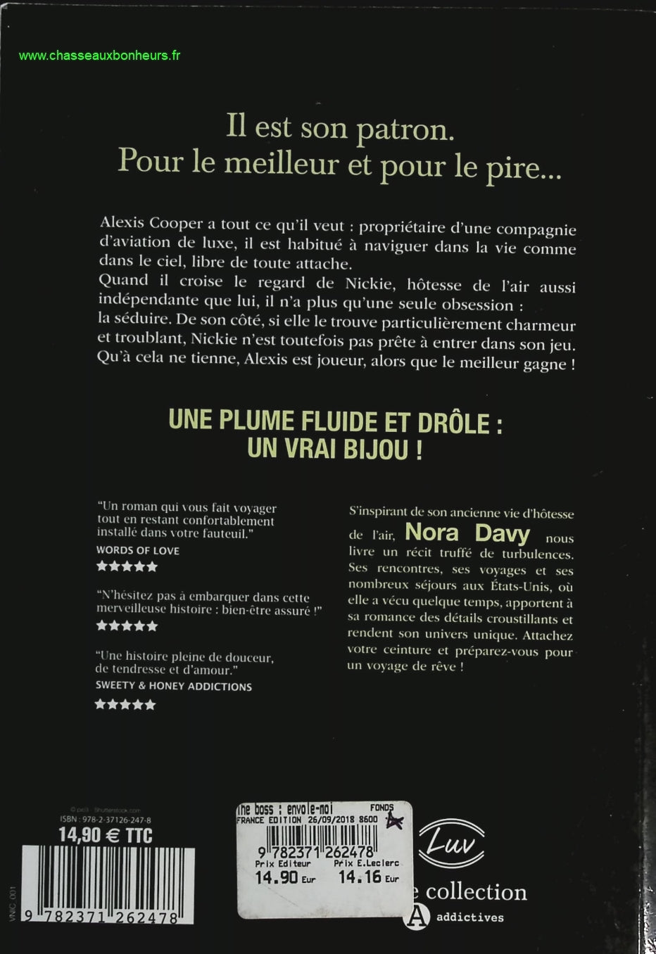 Someone Good - Françoise Bourdin - book