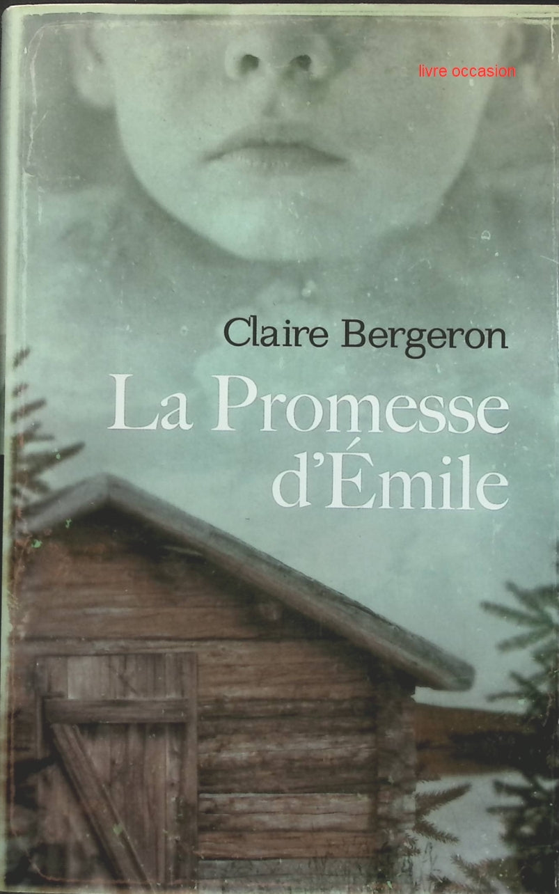 Someone Good - Françoise Bourdin - book